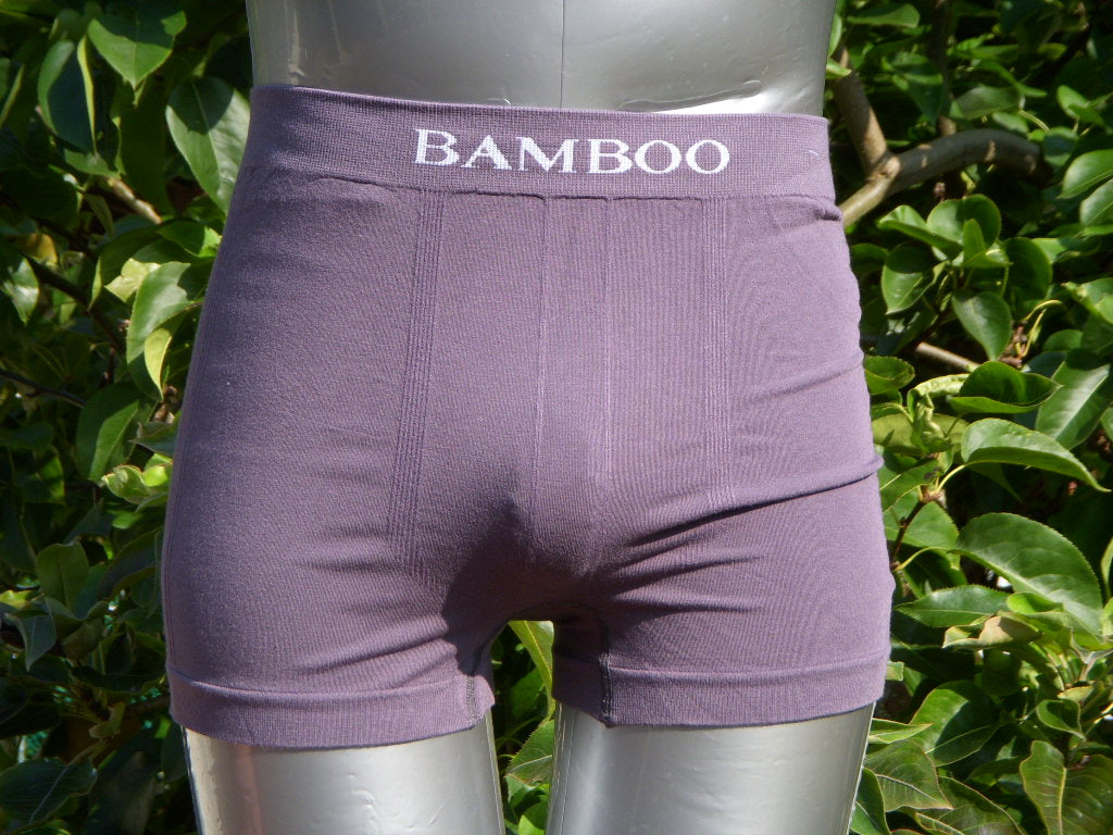 Ladies' Bamboo Fibre Boy Leg Underwear PURPLE Sizes 8-22